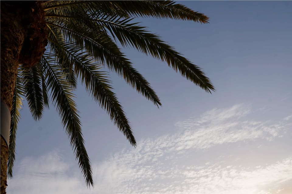 Kanaloa